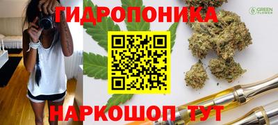 ECSTASY Гусь-Хрустальный