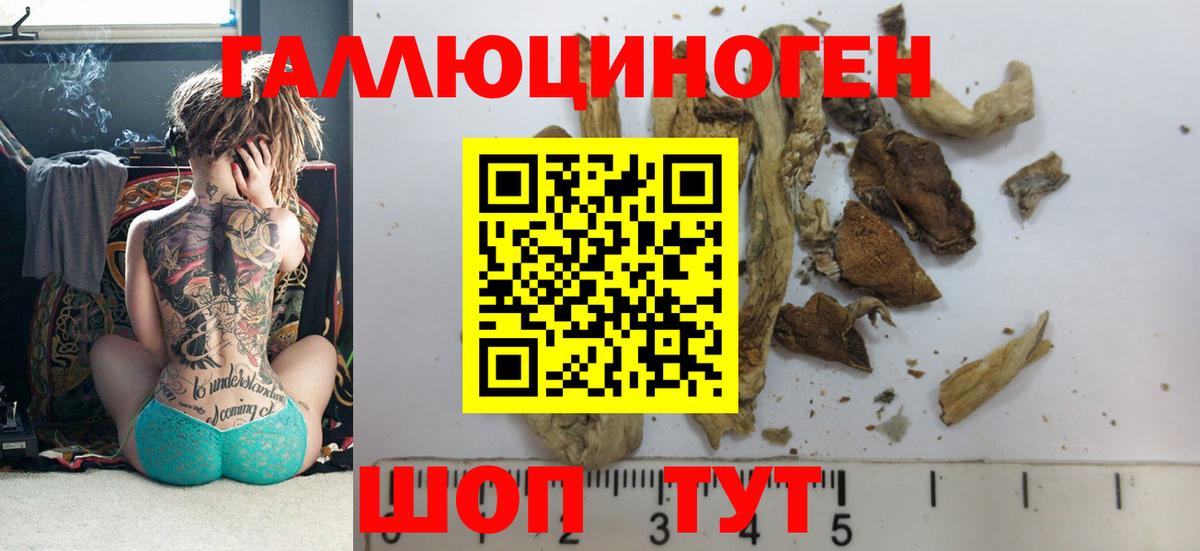 Галлюциногенные грибы Psilocybine cubensis Муравленко