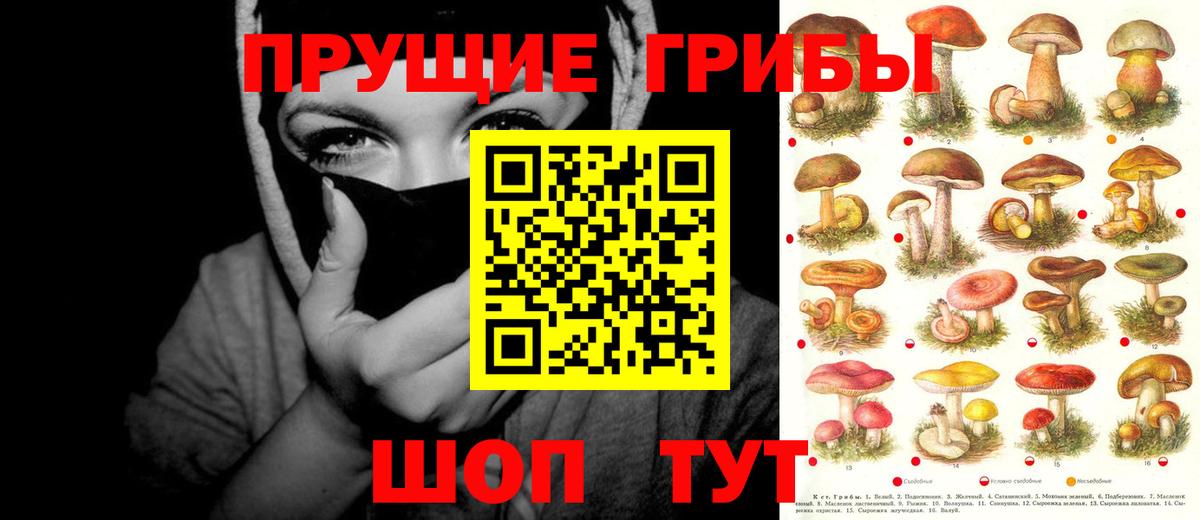 Галлюциногенные грибы GOLDEN TEACHER  Галлюциногенные грибы Psilocybe  Вход с VPN  Муравленко 